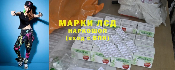 прущие грибы Армянск