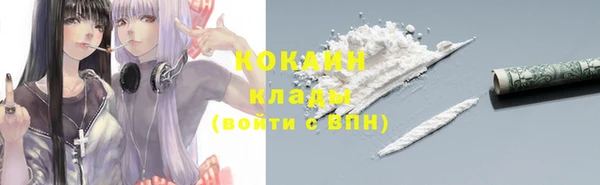 прущие грибы Армянск