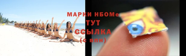 ПСИЛОЦИБИНОВЫЕ ГРИБЫ Балабаново