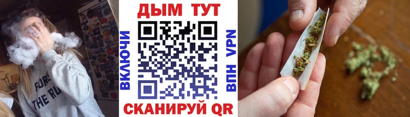 Купить закладки  Богородск  Бошки Шишки сатива 